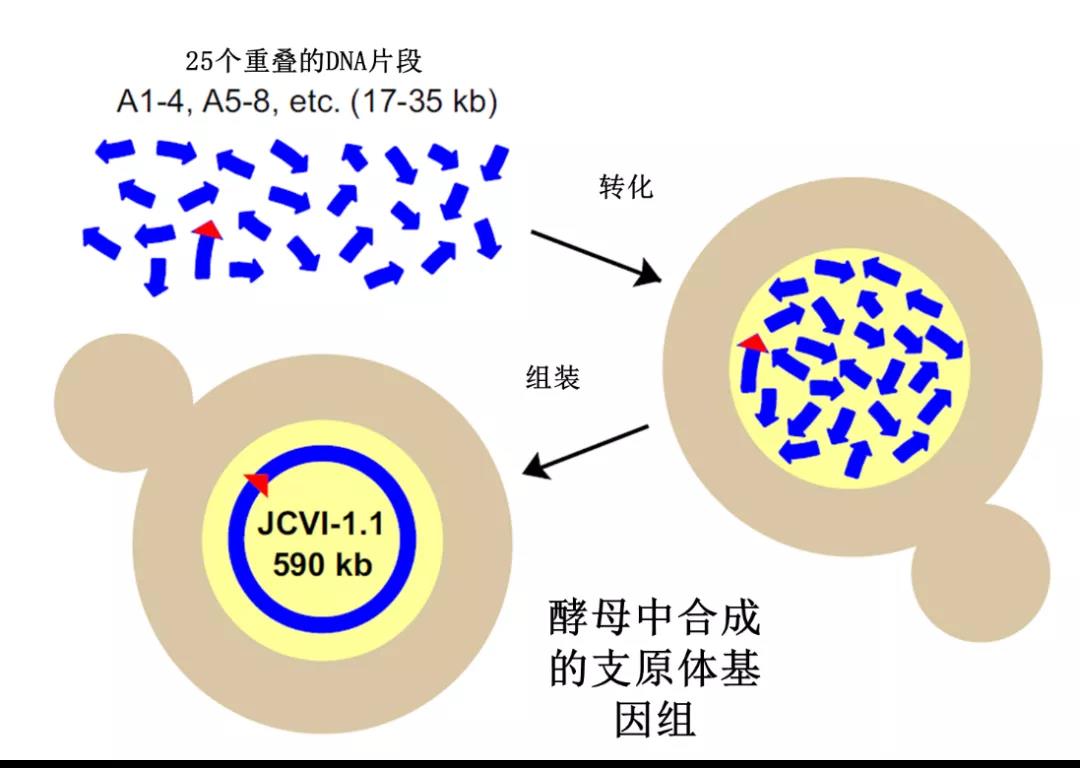 1625739121505492.jpg 微信圖片_20210708181035.jpg